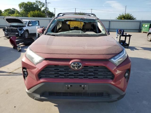 2024 Toyota Rav4 XLE Premium