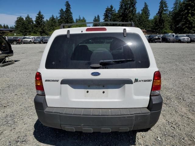 2005 Ford Escape HEV