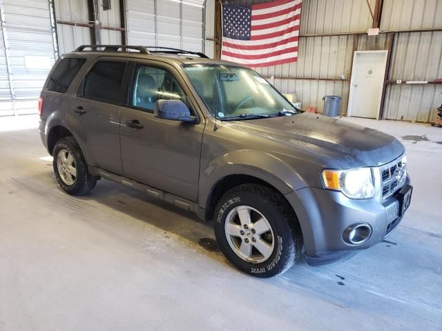 2009 Ford Escape XLT