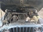 1998 Jeep Wrangler / TJ Sport