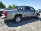 2010 Dodge Dakota SXT