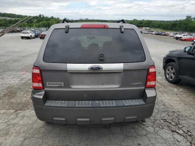 2009 Ford Escape Limited