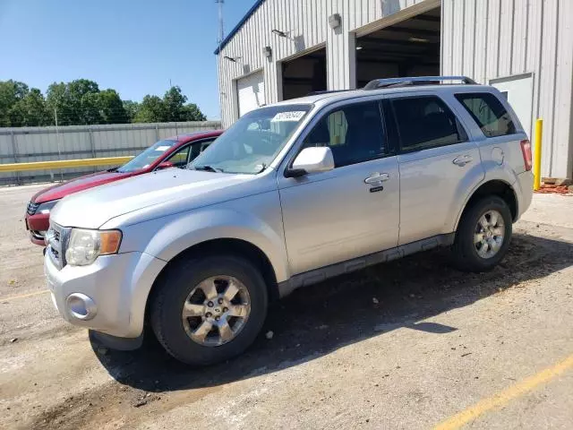 2011 Ford Escape Limited