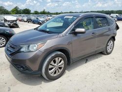 Salvage cars for sale at Midway, FL auction: 2013 Honda CR-V EXL