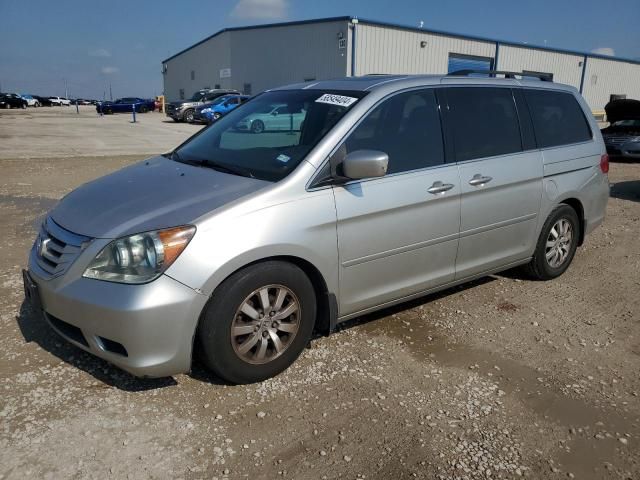 2008 Honda Odyssey EXL