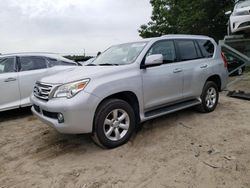 Salvage cars for sale at Seaford, DE auction: 2010 Lexus GX 460