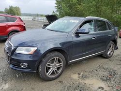 Audi q5 salvage cars for sale: 2017 Audi Q5 Premium