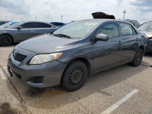 2009 Toyota Corolla Base