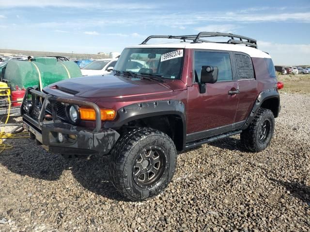 2007 Toyota FJ Cruiser