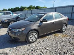 Salvage cars for sale at Lawrenceburg, KY auction: 2012 KIA Forte EX