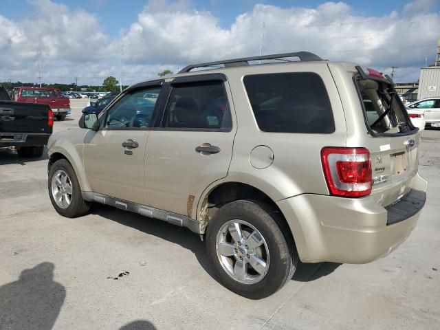 2010 Ford Escape XLT