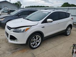 Salvage cars for sale at Conway, AR auction: 2016 Ford Escape Titanium