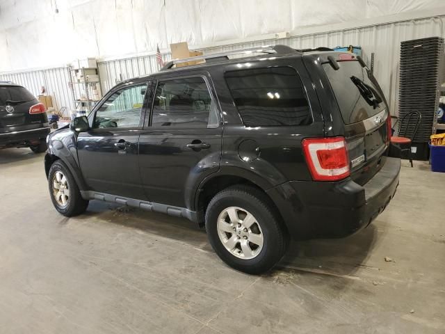 2011 Ford Escape Limited