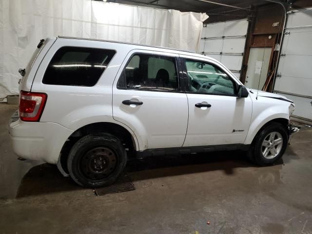 2010 Ford Escape Hybrid