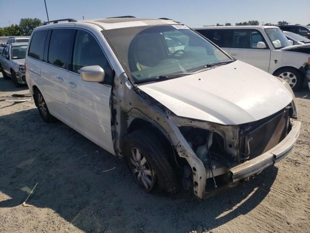 2010 Honda Odyssey EXL