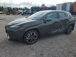 Salvage cars for sale at Cahokia Heights, IL auction: 2024 Lexus UX 250H Premium