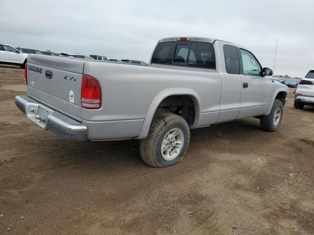 2000 Dodge Dakota