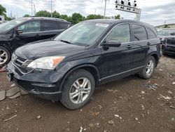 Salvage cars for sale at Columbus, OH auction: 2010 Honda CR-V EX