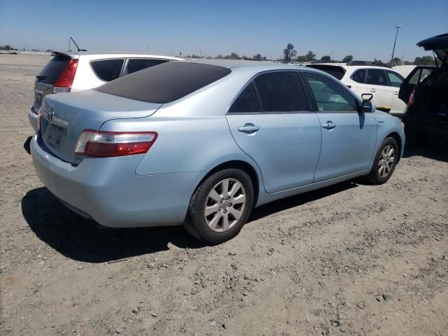 2009 Toyota Camry Hybrid