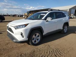 Carros dañados por granizo a la venta en subasta: 2019 Toyota Rav4 XLE