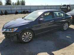 Salvage cars for sale at Arlington, WA auction: 2015 Honda Accord EX