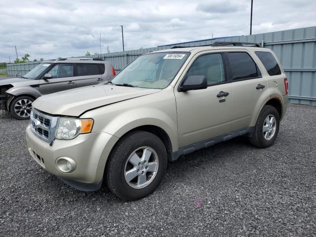 2012 Ford Escape XLT