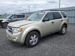 Salvage cars for sale from Copart Ontario Auction, ON: 2012 Ford Escape XLT