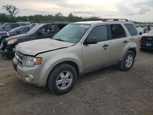 2010 Ford Escape XLT