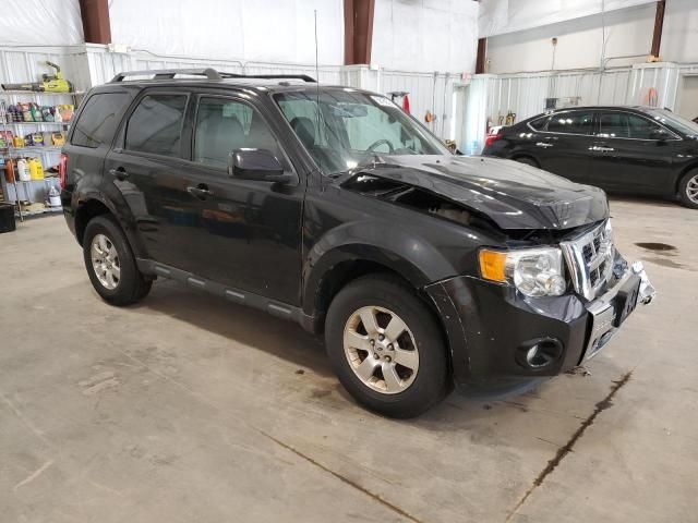 2011 Ford Escape Limited