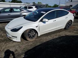 Salvage cars for sale at Windsor, NJ auction: 2023 Tesla Model 3