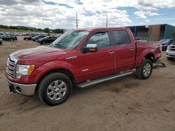 Ford salvage cars for sale: 2014 Ford F150 Supercrew