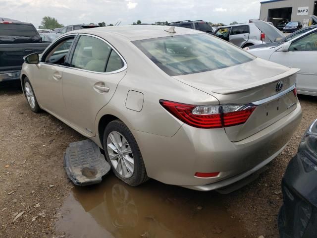 2014 Lexus ES 300H