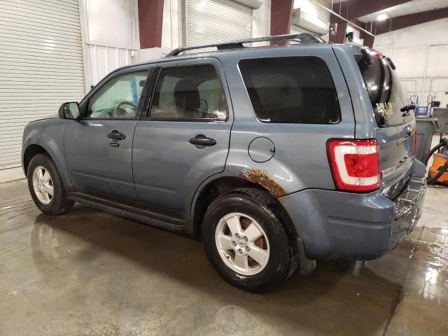 2012 Ford Escape XLT