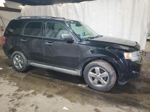 2009 Ford Escape XLT