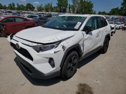 Carros salvage a la venta en subasta: 2019 Toyota Rav4 XLE