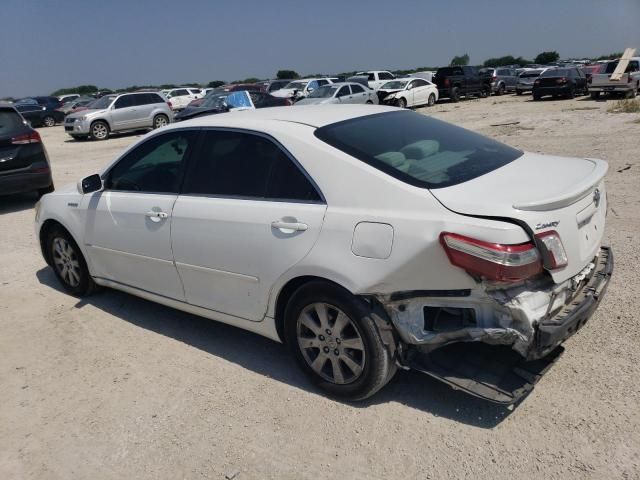 2009 Toyota Camry Hybrid