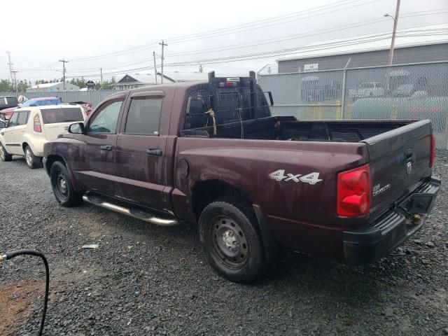 2005 Dodge Dakota Quattro