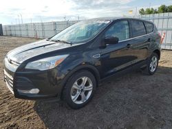 Hail Damaged Cars for sale at auction: 2016 Ford Escape SE