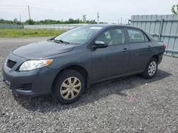 Salvage cars for sale at Ottawa, ON auction: 2009 Toyota Corolla Base