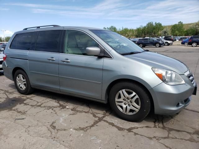 2005 Honda Odyssey EXL