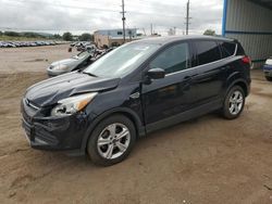 Salvage cars for sale at Colorado Springs, CO auction: 2016 Ford Escape SE