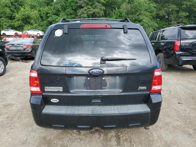 2010 Ford Escape XLT