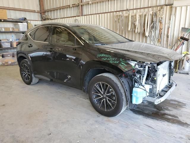 2024 Lexus NX 250 Premium