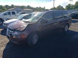 Salvage cars for sale at York Haven, PA auction: 2014 Honda Odyssey EXL