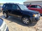 2008 Ford Escape Limited