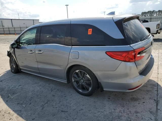 2024 Honda Odyssey Elite