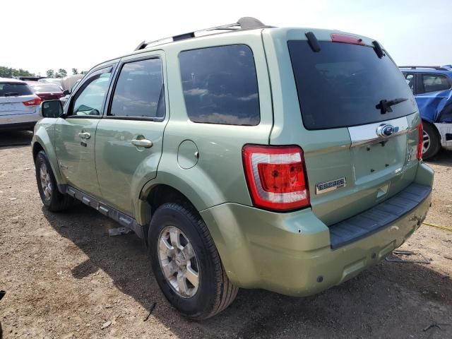 2010 Ford Escape Hybrid