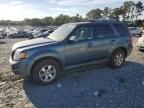 2010 Ford Escape Limited