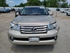 2011 Lexus GX 460 Premium