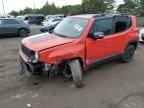 2018 Jeep Renegade Trailhawk